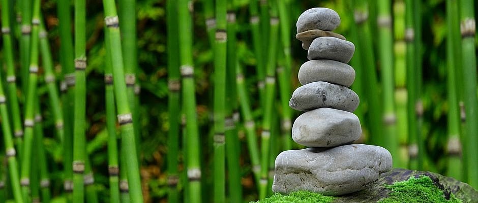 Rotina matinal M.E.L.